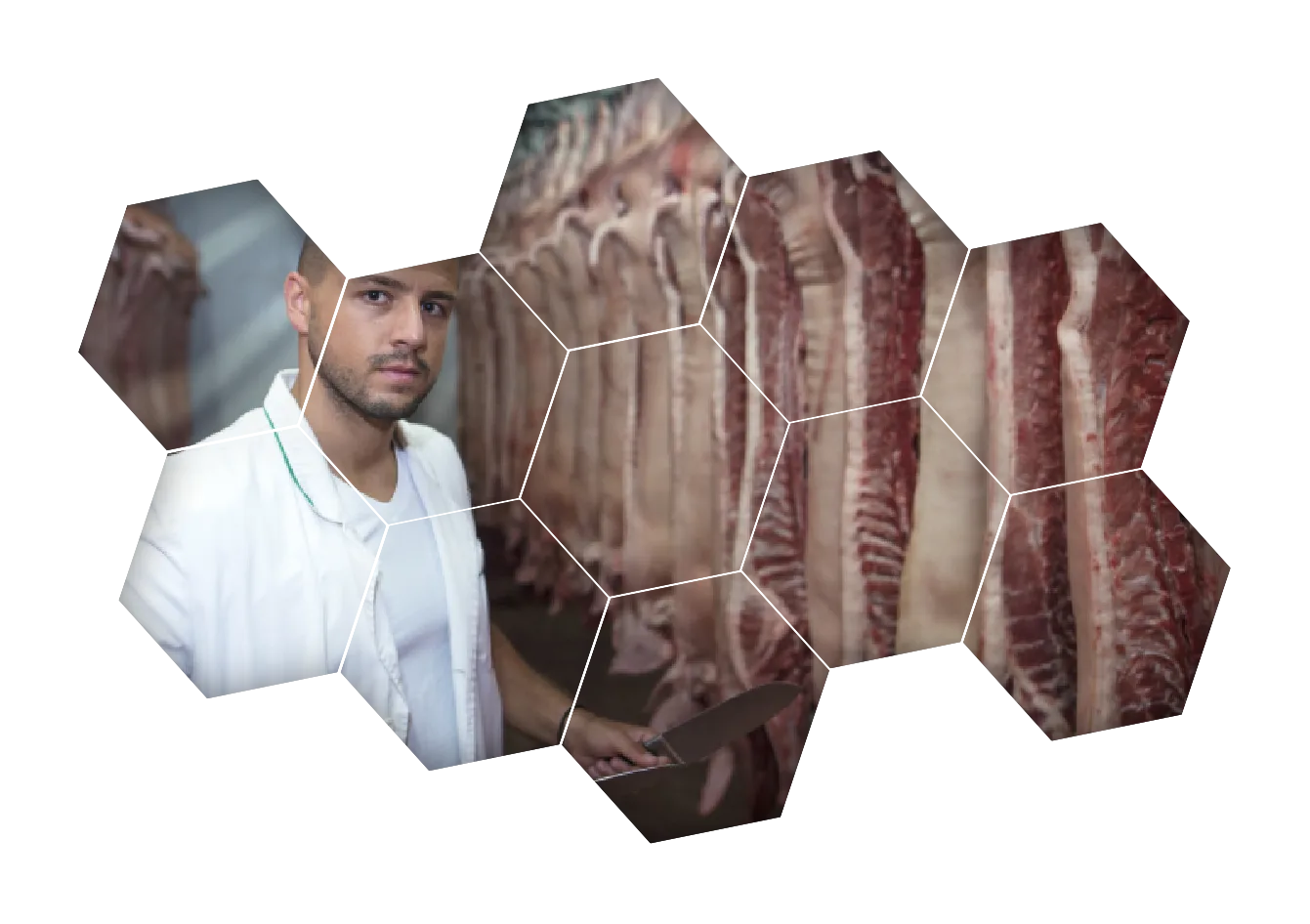 désosseur roumain travaillant sur des demi-porcs