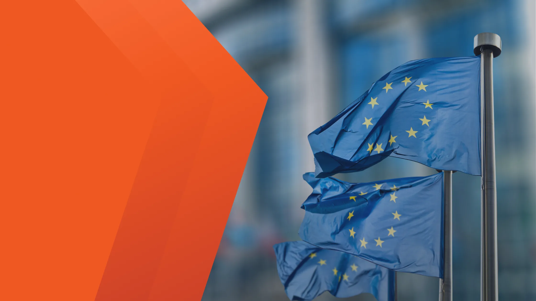 drapeaux de l'union européenne