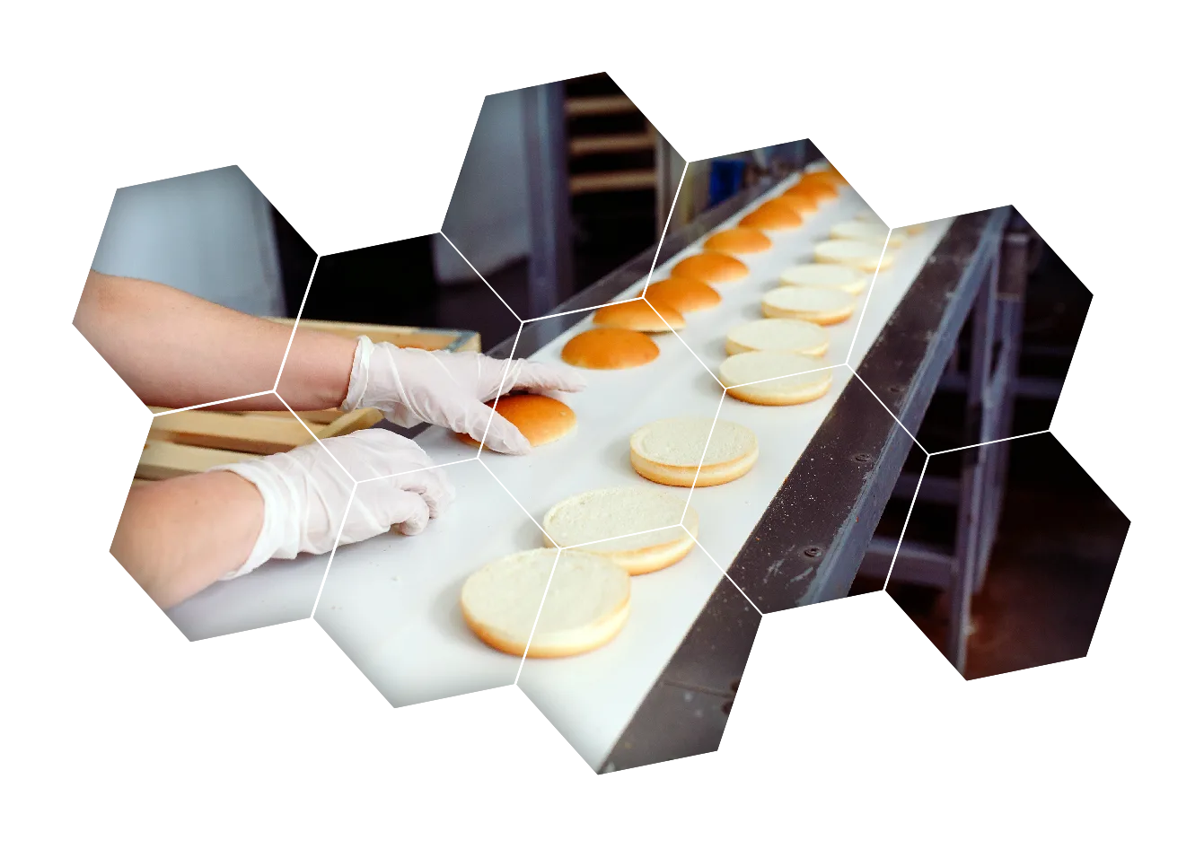 opérateur de production agroalimentaire Roumain qui place des pains à burger sur une ligne de production